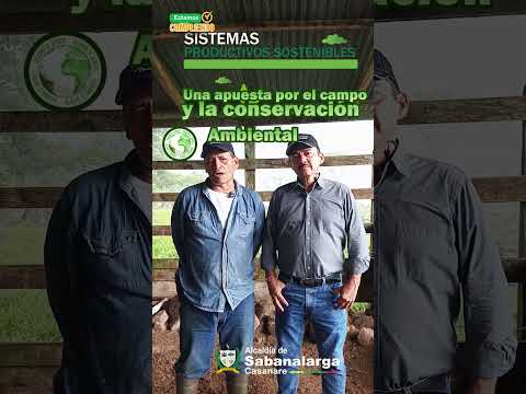 🌱🐄 SABANALARGA AVANZA HACIA UN CAMPO MÁS PRODUCTIVO Y SOSTENIBLE 🌳