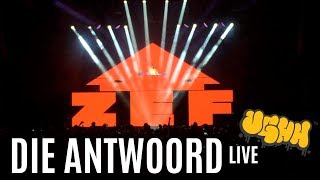 Die Antwoord - Love Drug World Tour Live