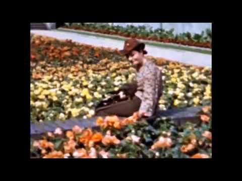 Bar Trio - Immer vergnügt (1943)