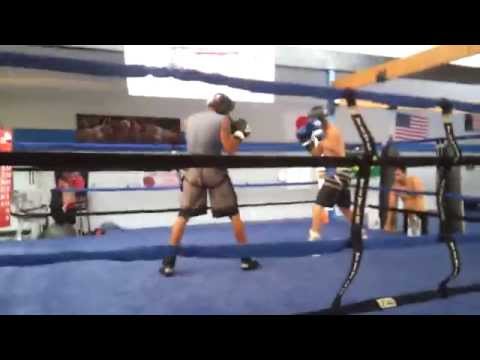 Professional Sparring & Training