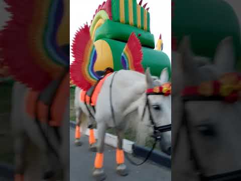 Kashira birthday celebration!