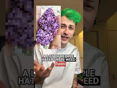 Why people hate purple weed