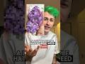 Why people hate purple weed