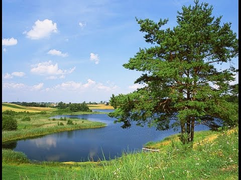Trzy Świerki - Gospodartwo Agroturystyczne - Puszcza Romincka - Pani Sława Tarasiewicz - Gołdap