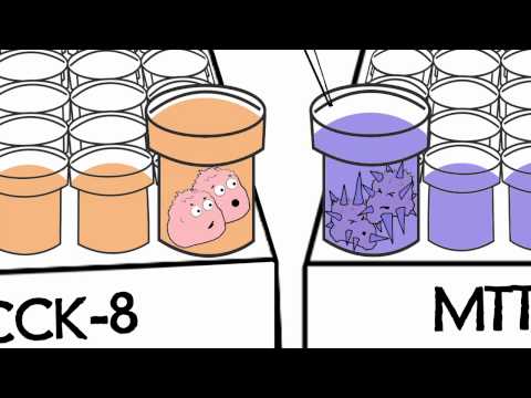 Watch Animation: DOJINDO CCK-8 Assay vs. MTT Assay