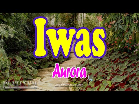 Iwas - Aurora