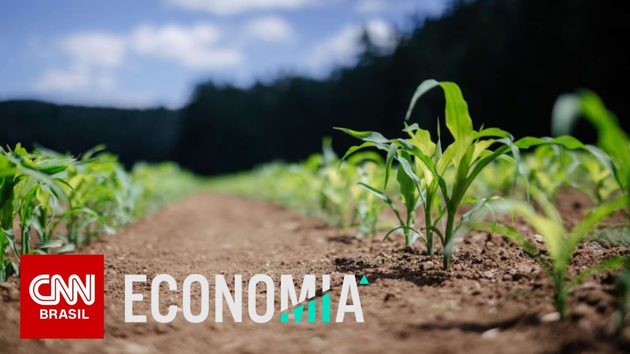Anos de 2023 e 2024 serão difíceis para o agro, diz especialista | CNN NOVO DIA