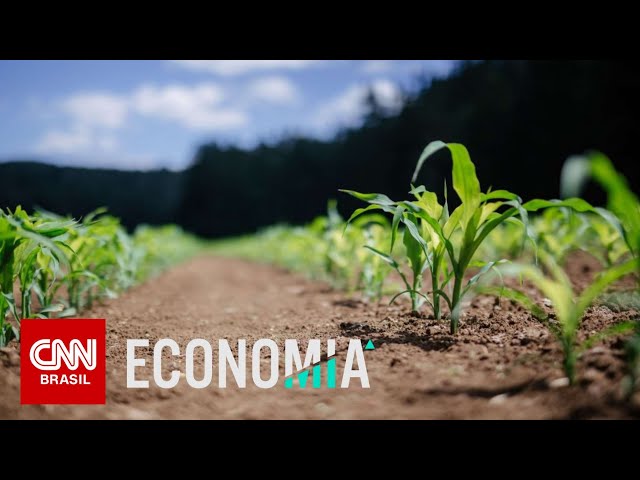 El Niño continuará até meados de 2024, ameaçando a agricultura