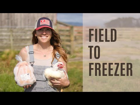 Pastured Poultry Processing | Step by Step