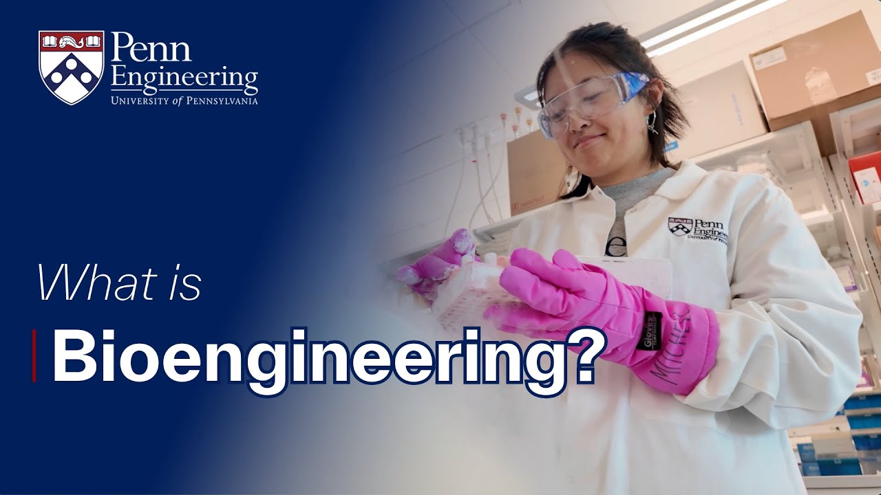 What is Bioengineering? | Penn Engineering