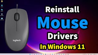 How To Reinstall Mouse Drivers In Windows 11 Pc or  Laptop