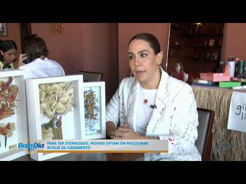 O Dia TV