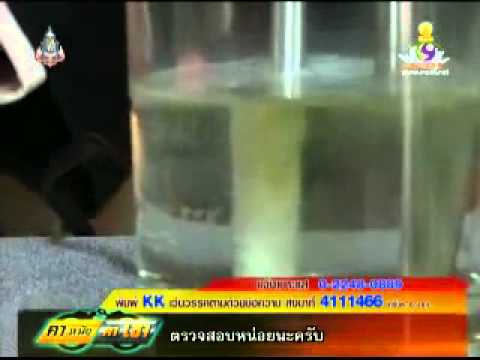 คลิกเพื่อดูคลิปวิดีโอ