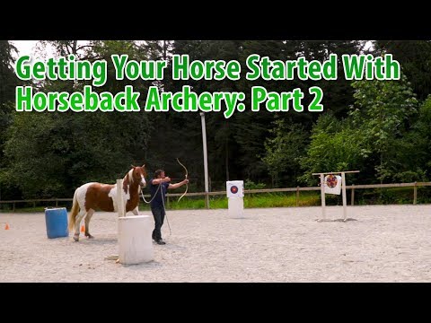 Getting Your Horse Started With Horseback Archery: Part 2