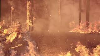 Forest Fire VFX | AFTER EFFECTS