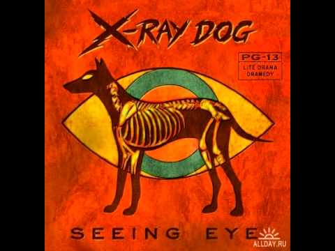 X-Ray Dog - Panorama