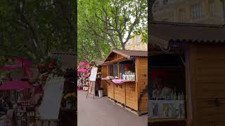 Grasse Expo Rose 2026 #france #南仏旅行 #フランス生活