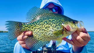 I Love Catching these SLAB Crappie!