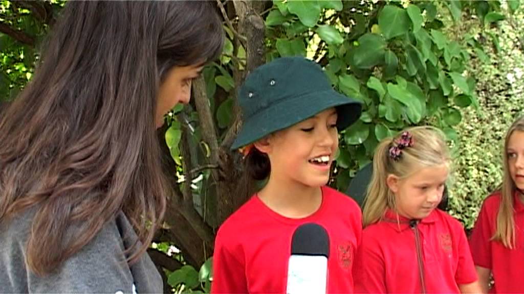 Bethlehem School Butterfly House