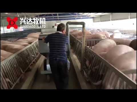 No anti-pig black pig wet soup feed equipment, automatic feeding system