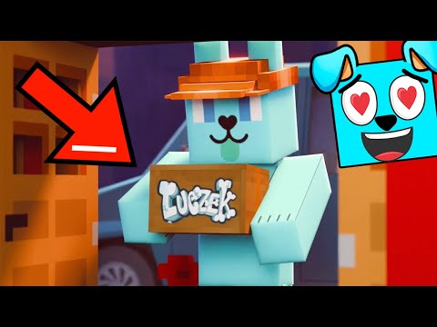 ⚠️ REKLAMA SKLEPU LuczekShop.pl 🩵🩵🩵