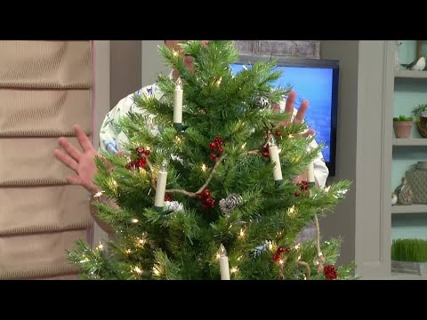 Steger Creek's Christmas in July Sale!