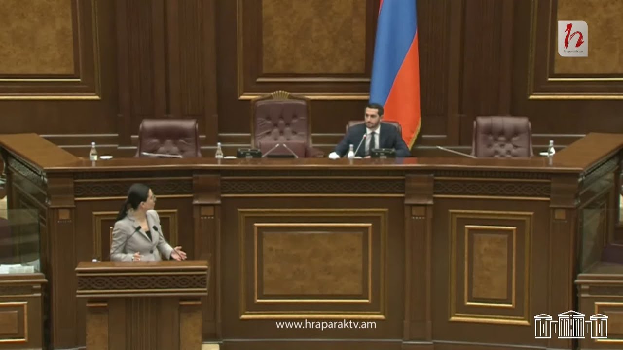 Տիկին Վարդապետյան, սահմաններից դուրս չենք գալիս, մենք ԱԺ-ում ենք․ Ռուբինյանը՝ դատախազին