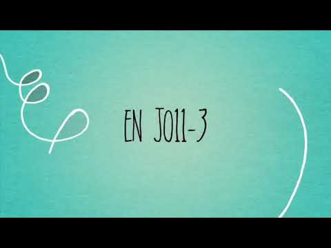 VVOG 11-3 - NSC Nijkerk 11-1