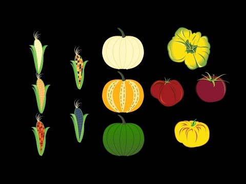 YouTube video about An Introductory Guide to Monoculture