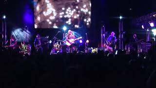 The Triffids feat. Marley Wynn - Trick of the light (Live)