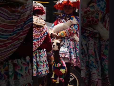 😱 DO DESERTO DO ATACAMA À AMAZÔNIA (de moto)