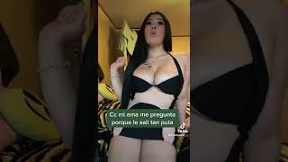 Tiktok creator videos