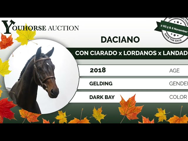 Daciano showvideo