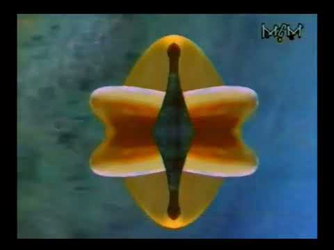 legend b - lost in love ( mcm tv )