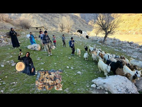 An Exciting Day in the Zagros Mountains | A Nomadic Family's Adventure in Unspoiled Nature