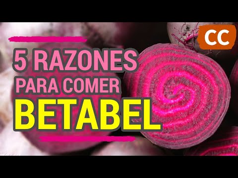 5 RAZONES PARA COMER BETABEL | Ciencia de la Comida