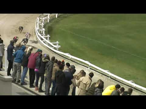 2020.10.18. 12. futam - Európa Derby Sprint Döntő