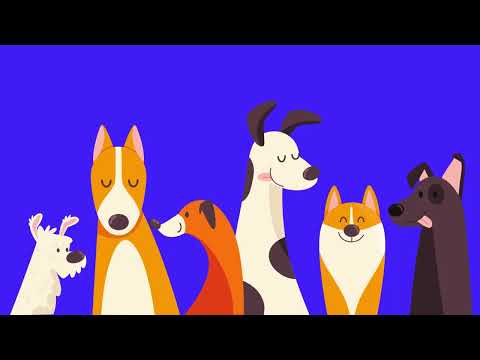 Petpass video thumbnail