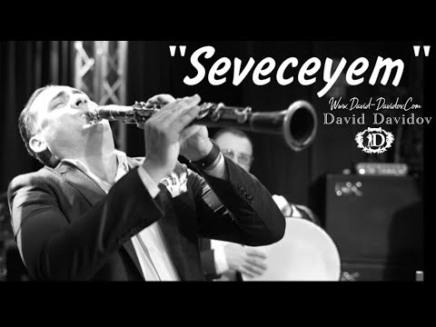 David Davidov "Sevəcəyəm" (Cover)