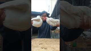 Download lagu merpati dan ayam besar mana #pecintamerpati #ayam #medantrending #fyp #shortvideo #viralvideo mp3 Download lagu merpati dan ayam besar mana #pecintamerpati #ayam #medantrending #fyp #shortvideo #viralvideo mp3