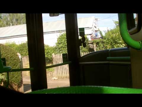 Red Rose 445 (R445 LGH)