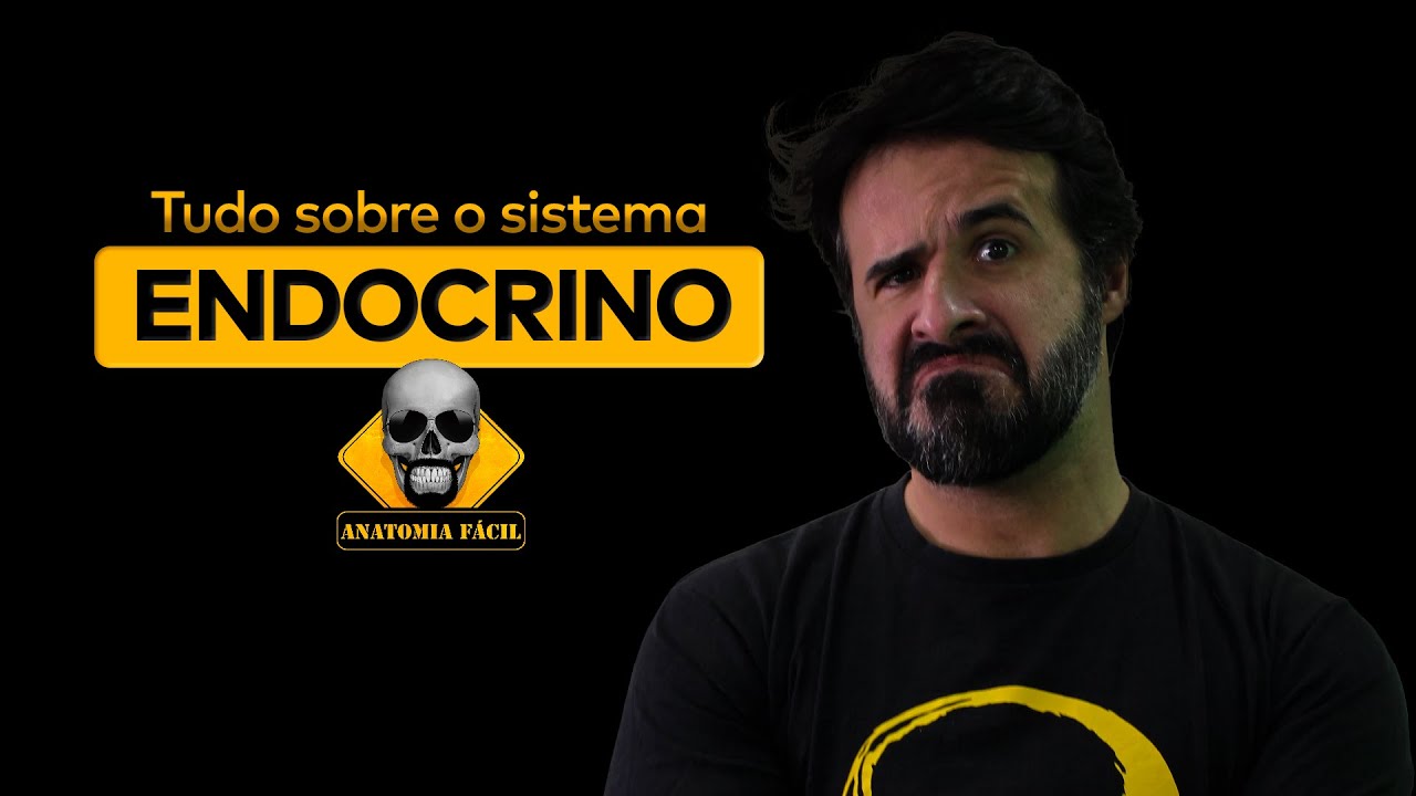 TUDO QUE VOCÊ PRECISA SABER SOBRE O SISTEMA ENDOCRINO!