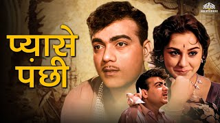 Download lagu Pyase Panchhi - Full Movie | Classic Blockbuster Movie |  Mehmood, Ameeta  | Kalayanji, Anandji mp3