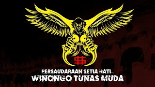 Download lagu Mars Persaudaraan Setia-Hati Winongo Tunas Muda [Reupload] mp3