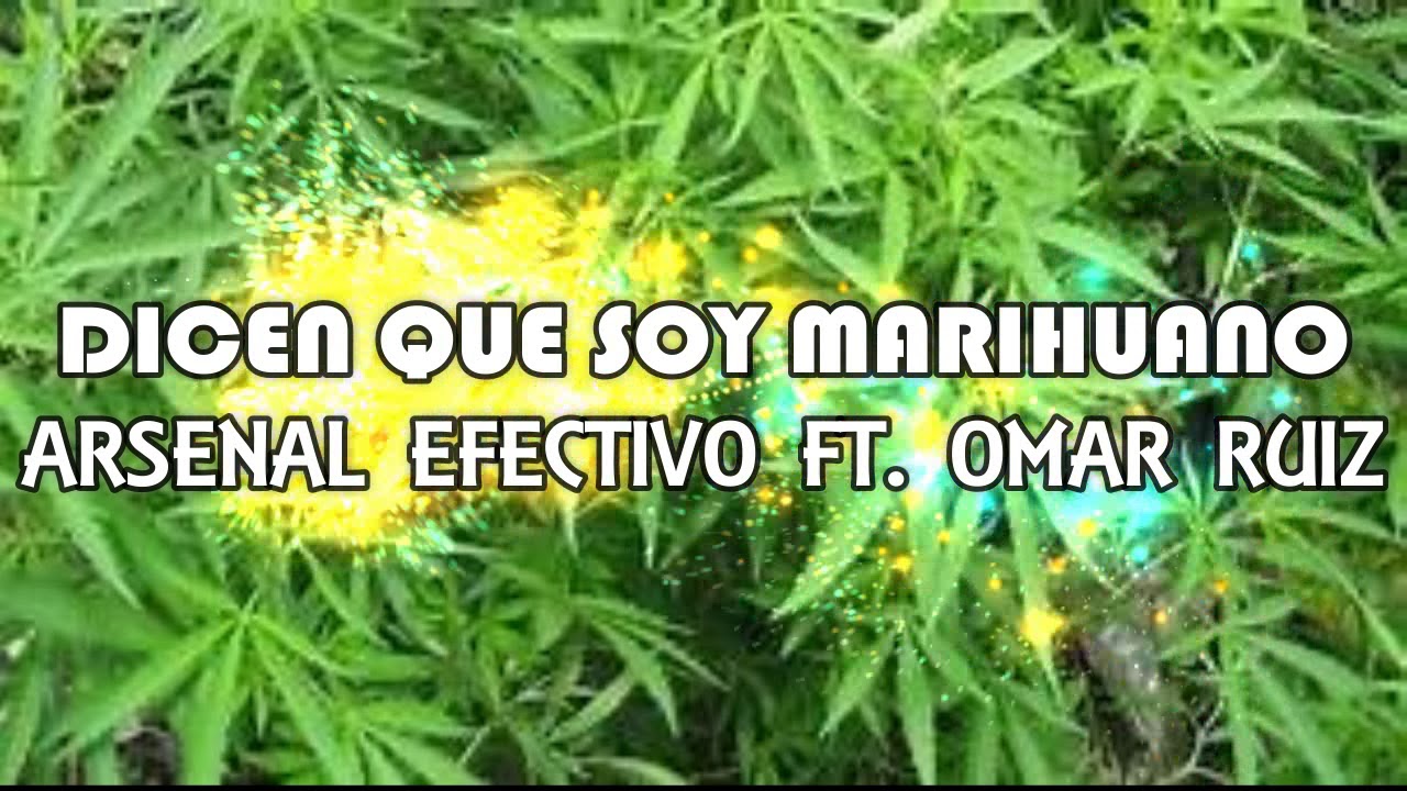 Dicen Que Soy Marihuano - Arsenal Efectivo Ft. Omar Ruiz (En Vivo) (Letra)