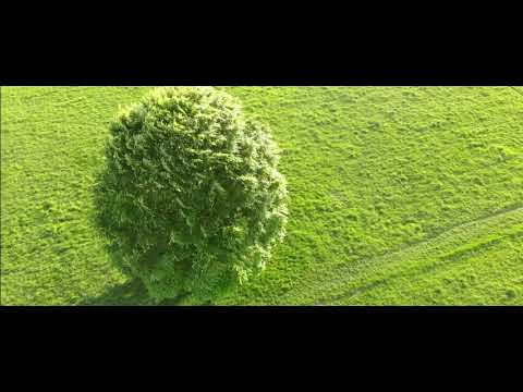 Litchi Test - DJI Mavic Air + PolarPro Filter