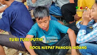 Download lagu Turi turi putih bocil mengheningkan cipta panggil indang|| jaranan lampung tsc mp3 Download lagu Turi turi putih bocil mengheningkan cipta panggil indang|| jaranan lampung tsc mp3
