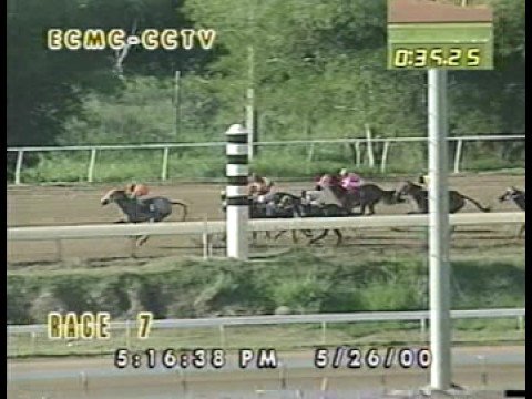 Mi Pradera 4 5/26/2000