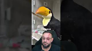Resgate de tucano, emocionante! #biologohenrique #animais #bichoesperto #biologo