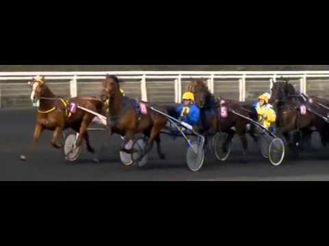Prix Du Bois De Vincennes 2013_Le Cannibale 1:13,7_F. Nivard